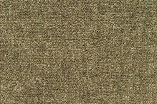 Mompach Tonal Forest 15
