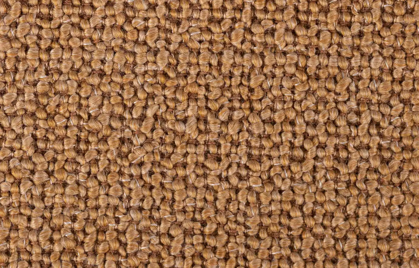 Mangen Camel 04