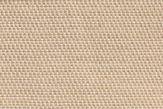Nothomb Desert Sand 06